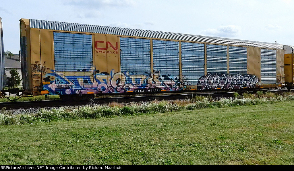 TTGX 696313 WC CN